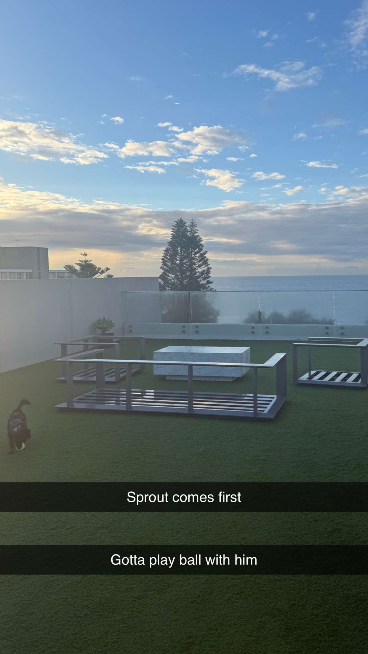 ppwyang0 snapchat image archive image