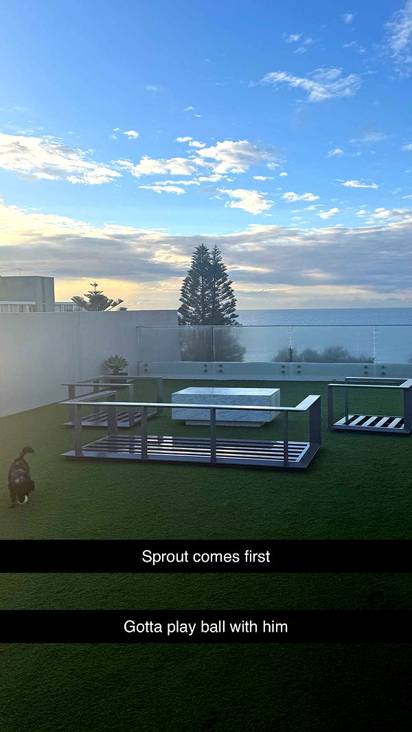 ppwyang0 image ~ Altpins