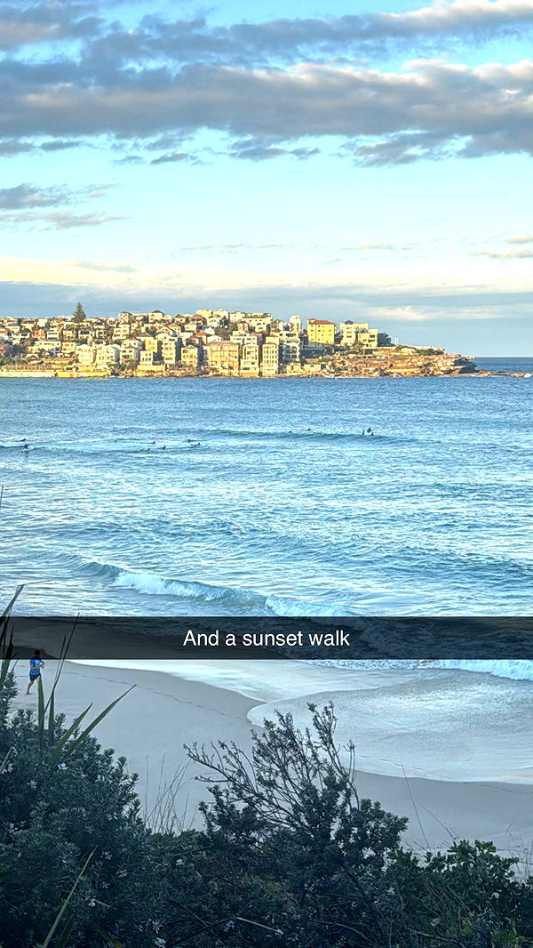 ppwyang0 image ~ Altpins