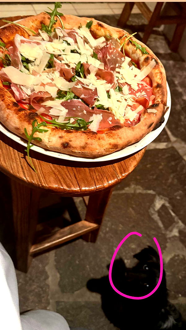 ppwyang0 image ~ Altpins