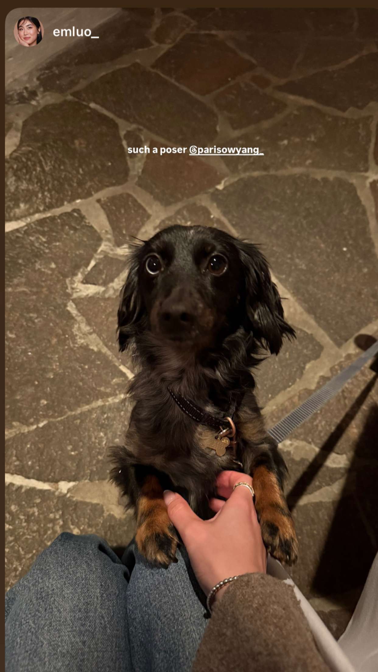 ppwyang0 snapchat image archive image