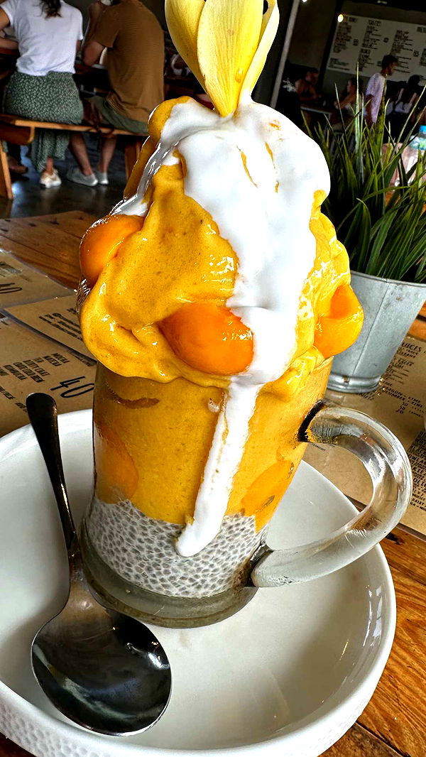 ppwyang0 image ~ Altpins