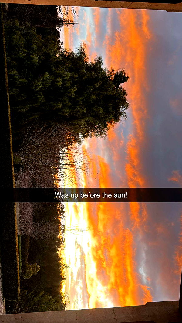 ppwyang0 image ~ Altpins