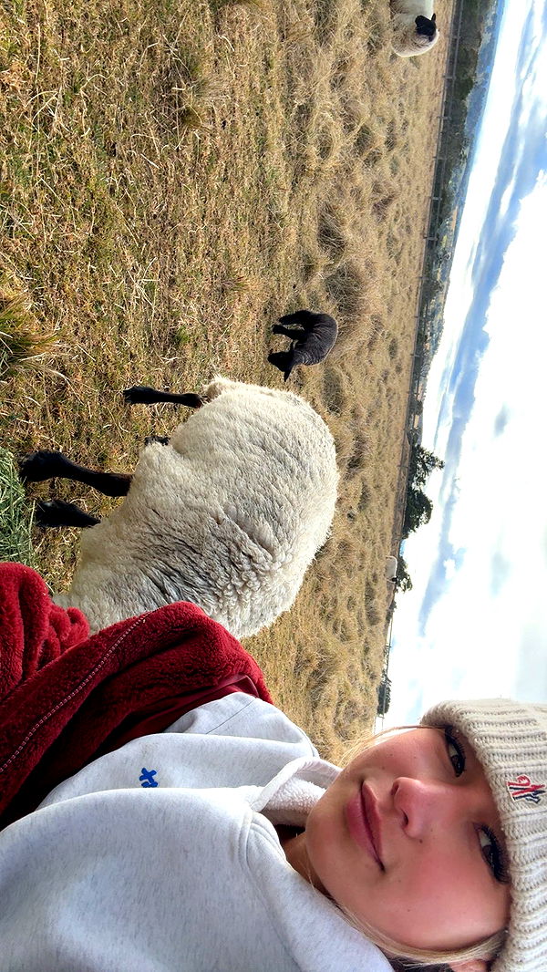 ppwyang0 image ~ Altpins