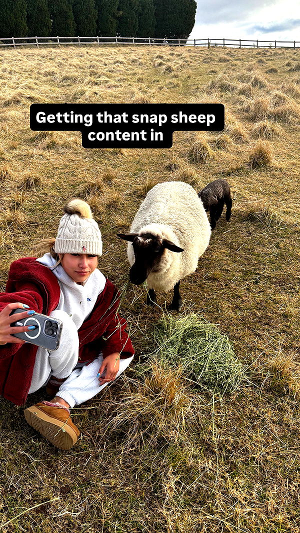 ppwyang0 image ~ Altpins