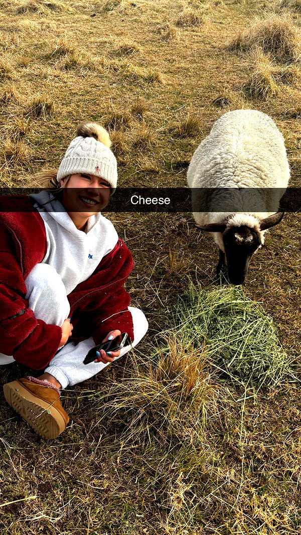 ppwyang0 image ~ Altpins