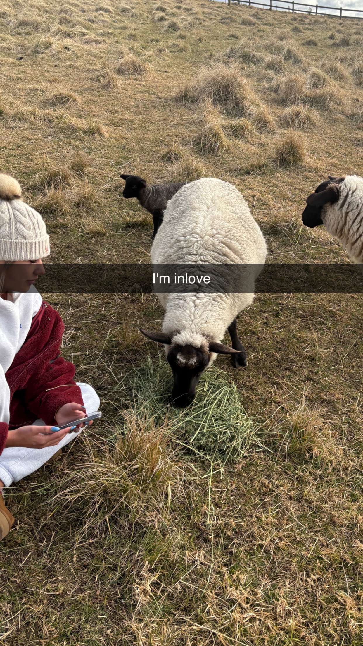 ppwyang0 snapchat image archive image