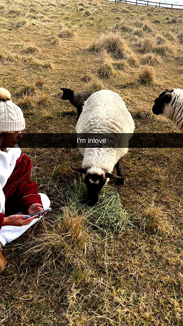 ppwyang0 image ~ Altpins