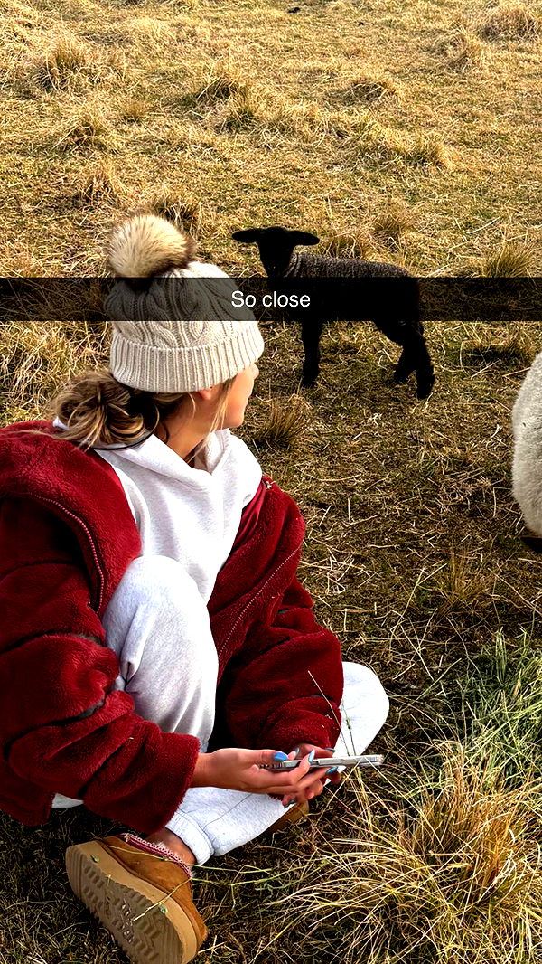 ppwyang0 image ~ Altpins