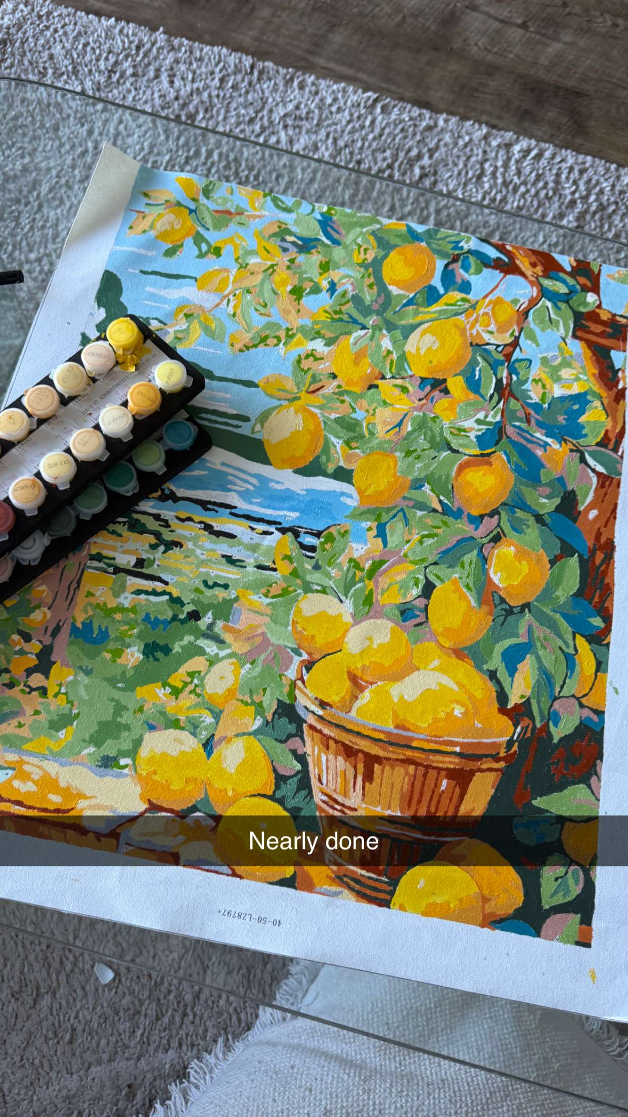 ppwyang0 snapchat image archive image