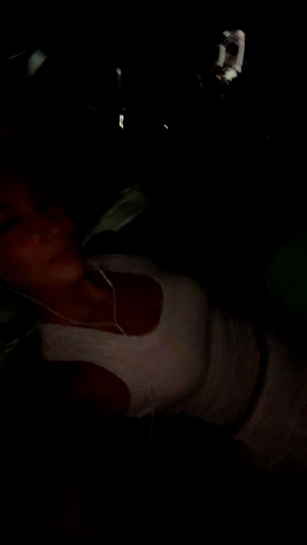 ppwyang0 image ~ Altpins