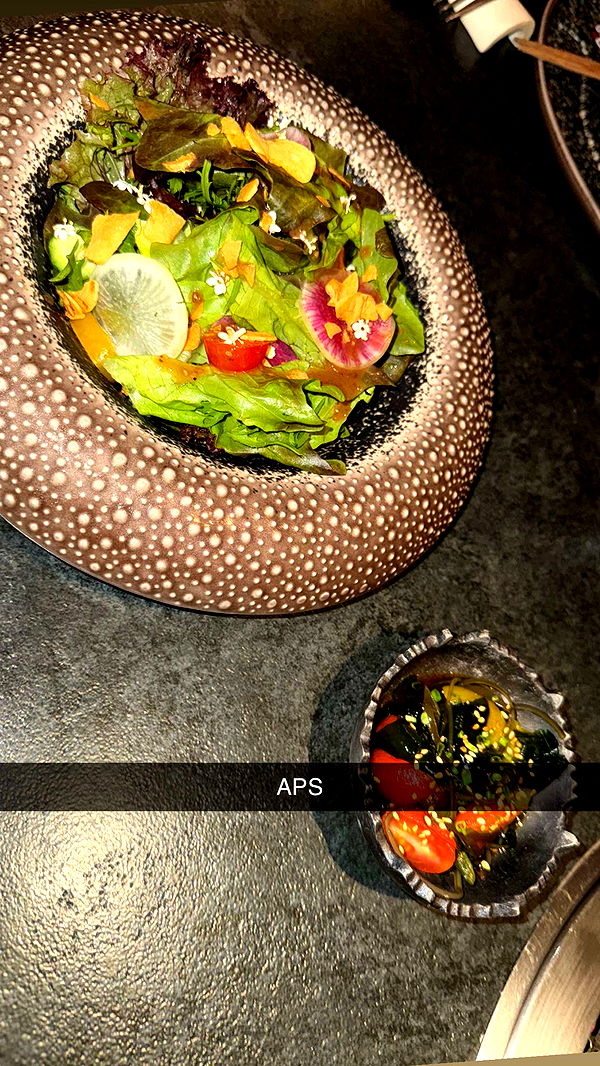 ppwyang0 image ~ Altpins