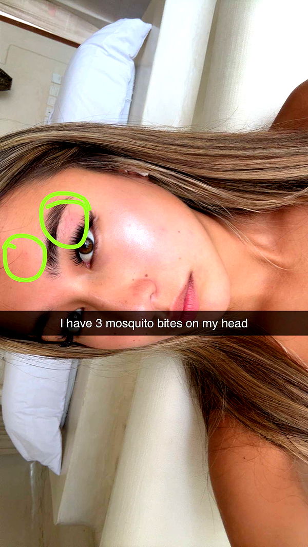 ppwyang0 image ~ Altpins