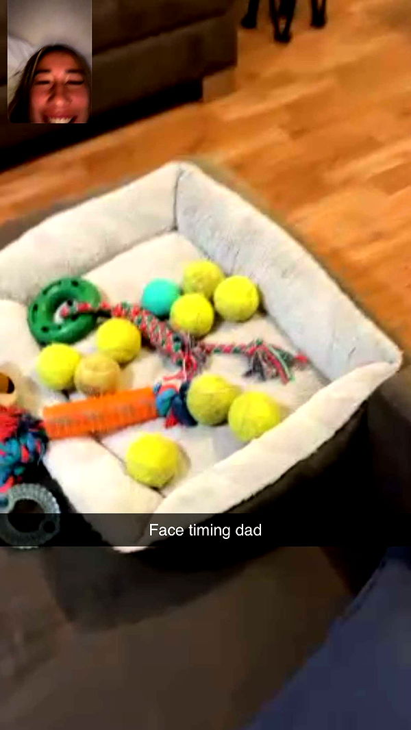 ppwyang0 image ~ Altpins