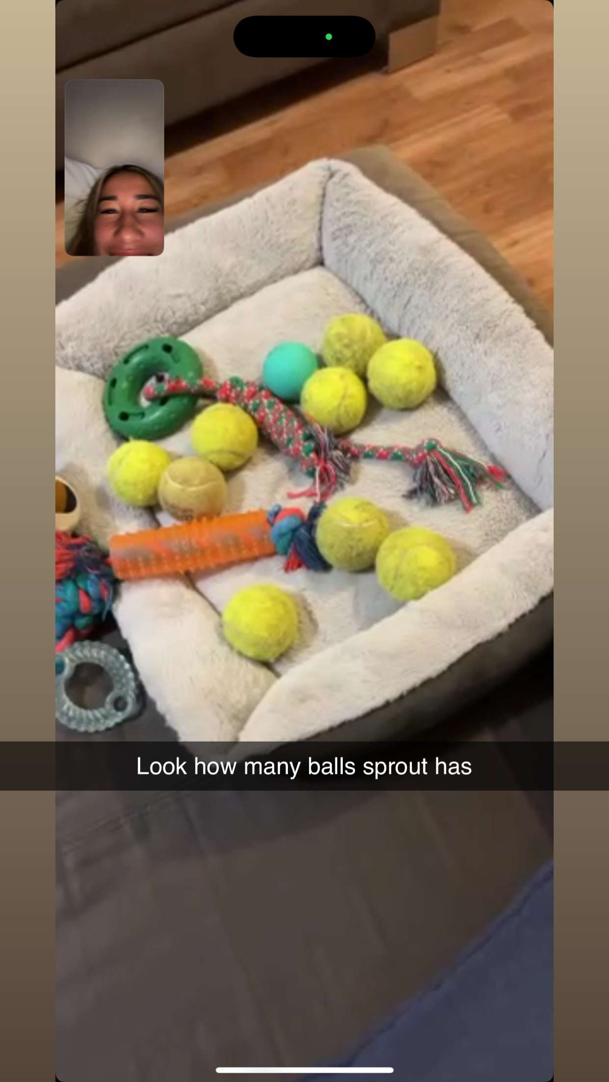 ppwyang0 snapchat image archive image