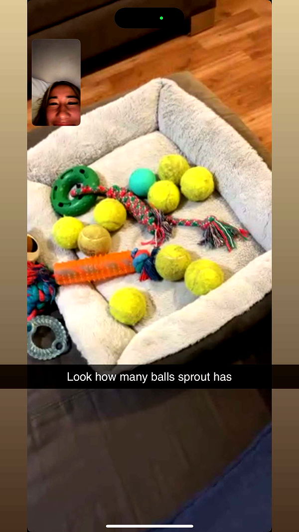 ppwyang0 image ~ Altpins