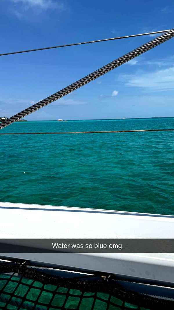 ppwyang0 image ~ Altpins