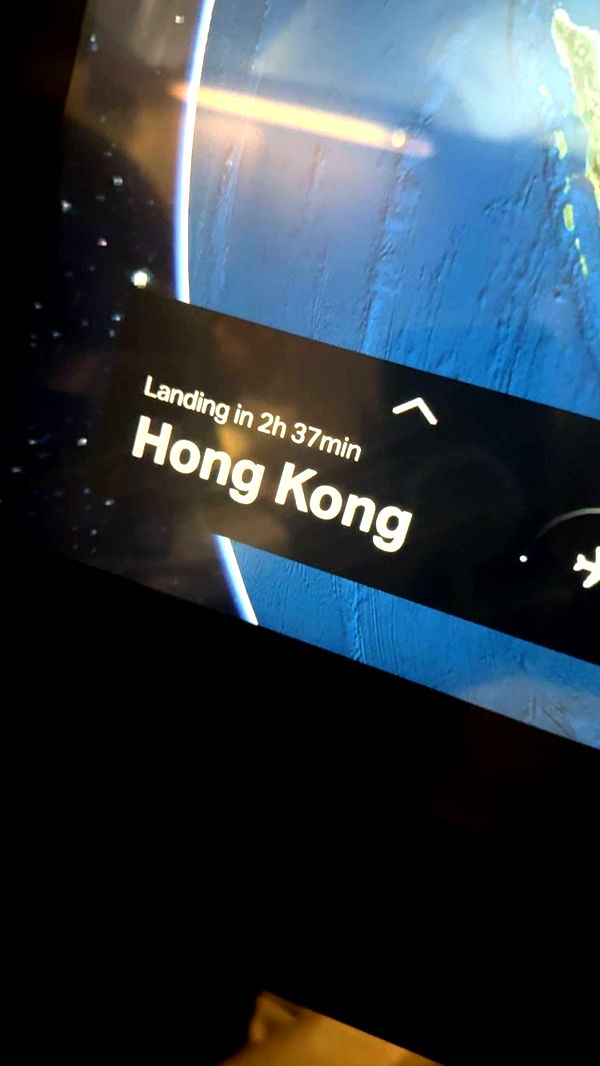 ppwyang0 image ~ Altpins