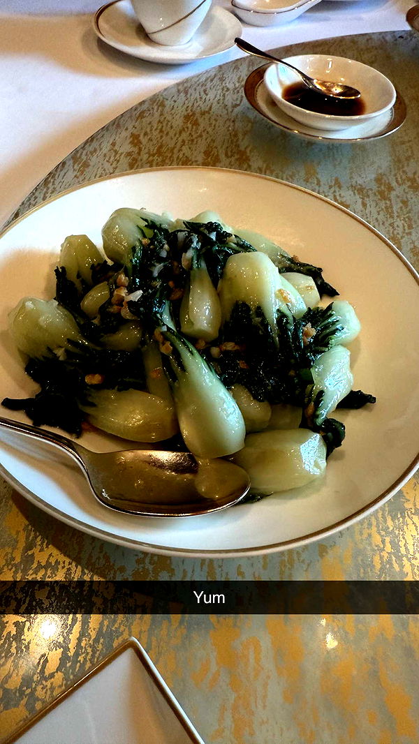 ppwyang0 image ~ Altpins