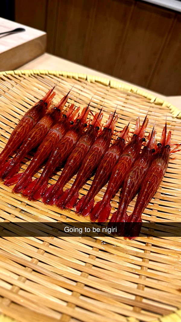 ppwyang0 image ~ Altpins