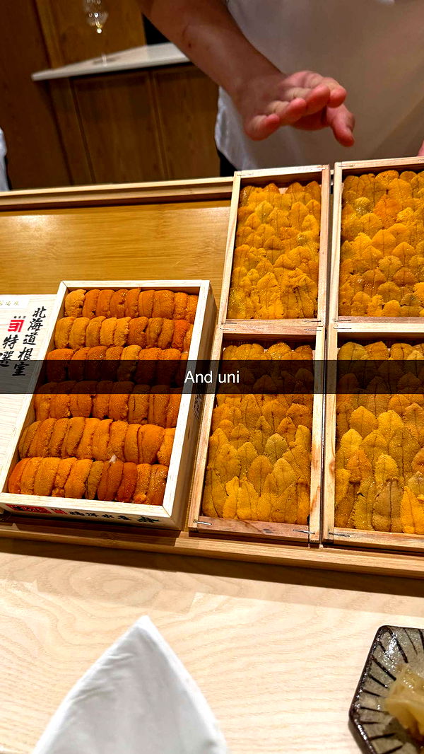 ppwyang0 image ~ Altpins