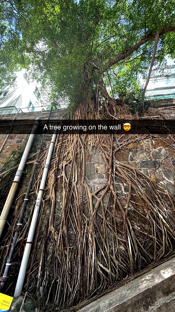 ppwyang0 image ~ Altpins