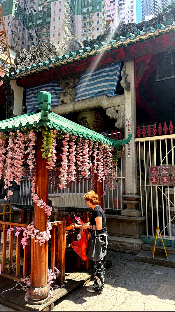 ppwyang0 image ~ Altpins