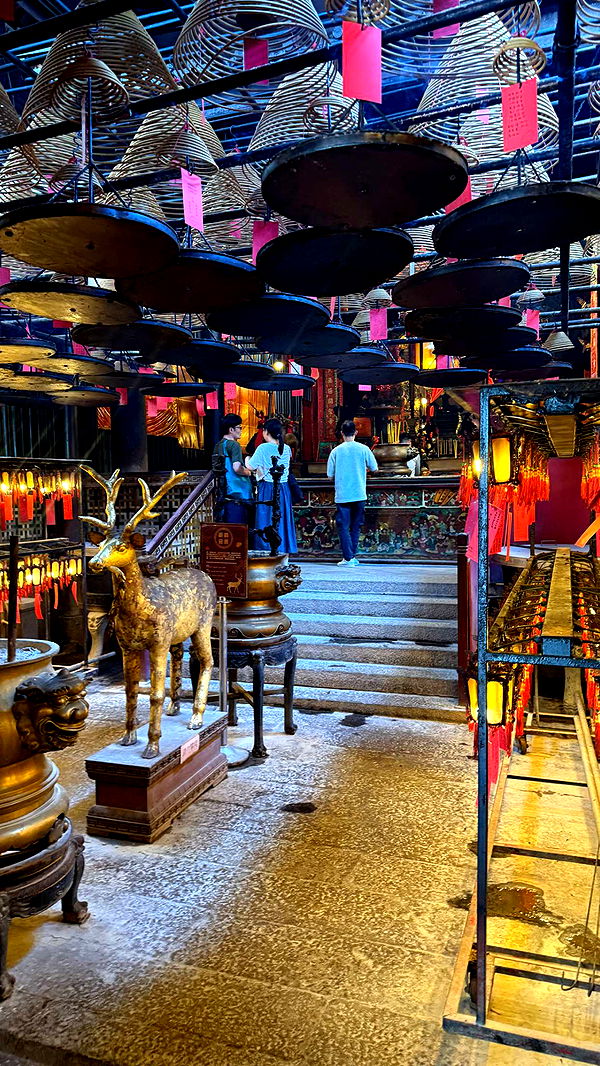 ppwyang0 image ~ Altpins