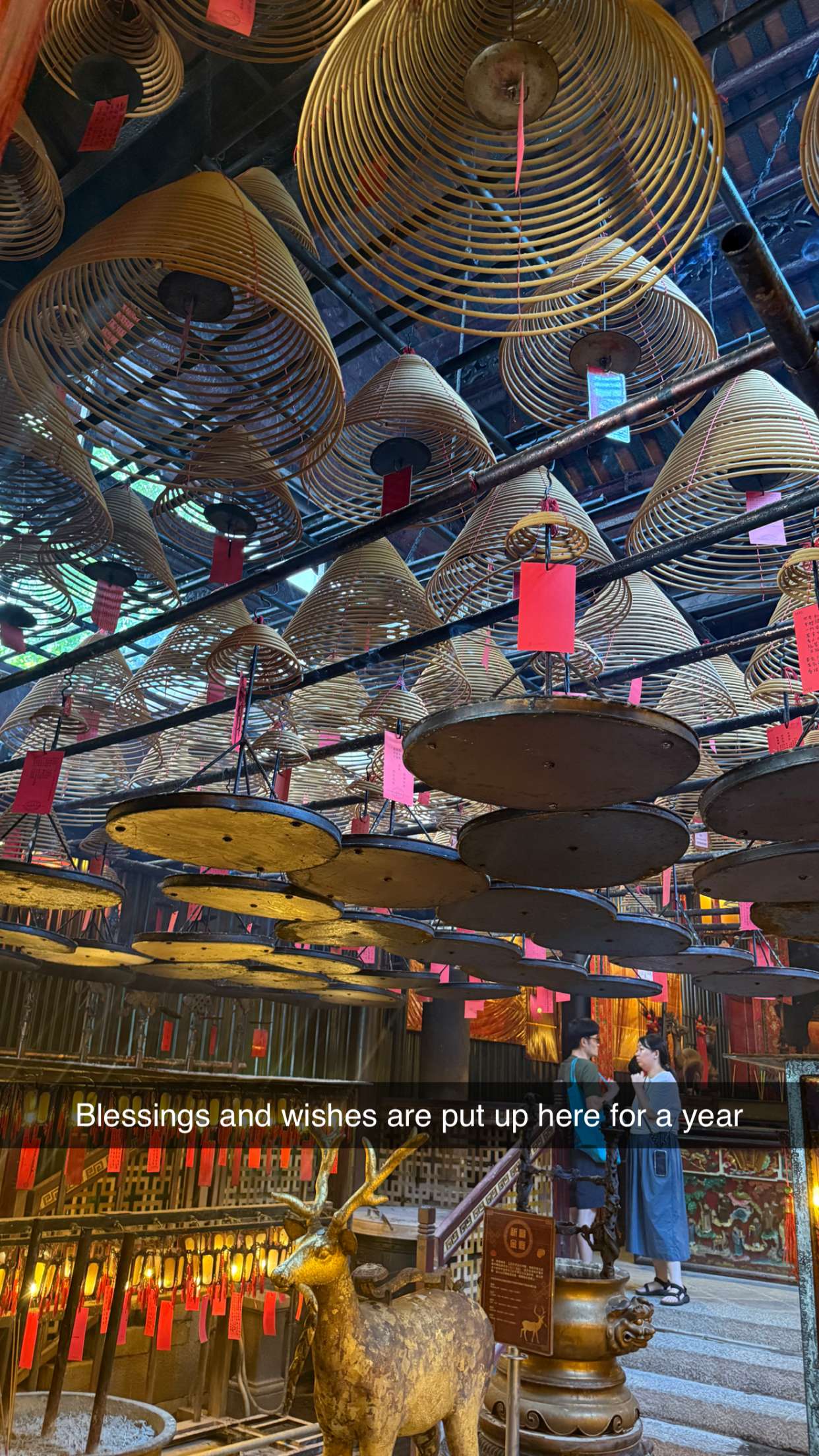 ppwyang0 snapchat image archive image