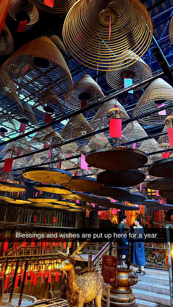 ppwyang0 image ~ Altpins