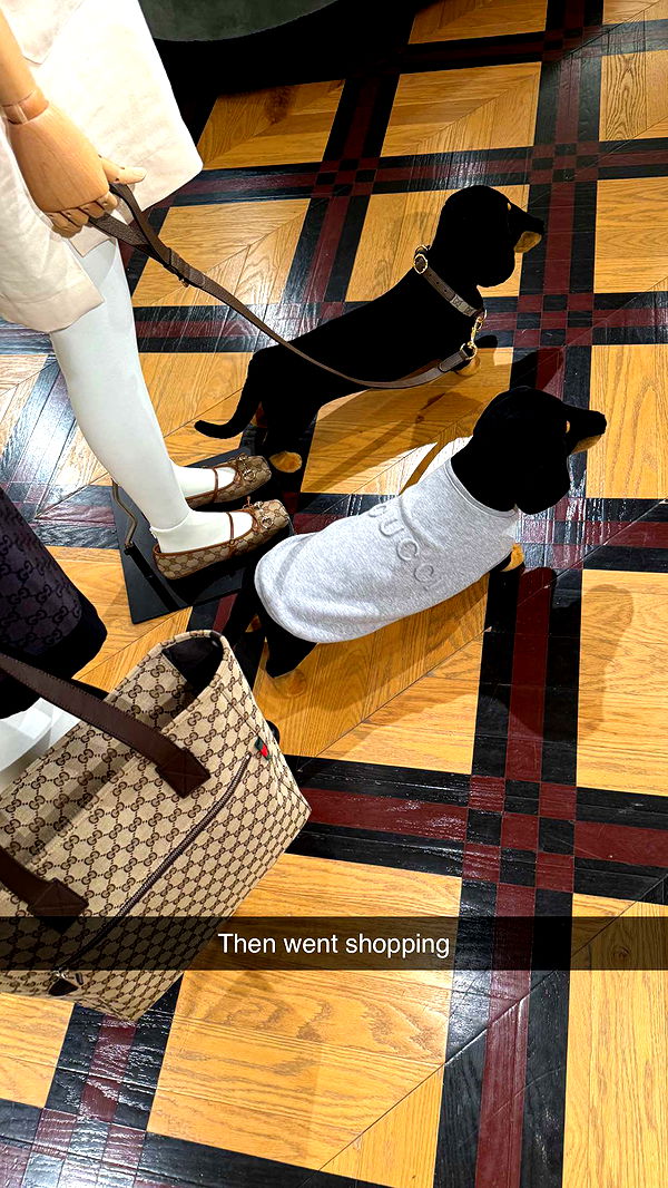 ppwyang0 image ~ Altpins