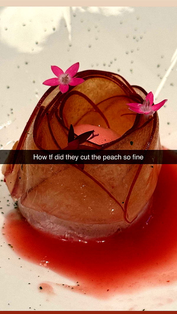 ppwyang0 image ~ Altpins