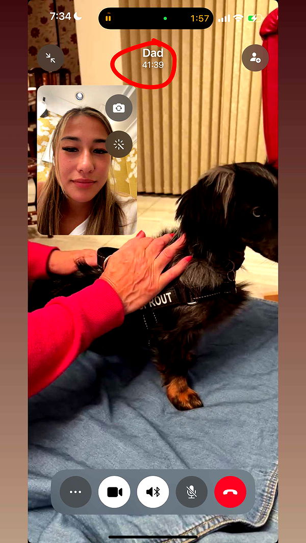 ppwyang0 image ~ Altpins