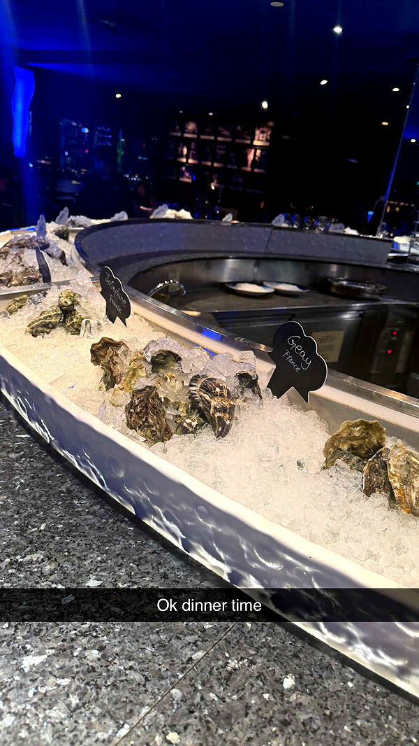 ppwyang0 image ~ Altpins