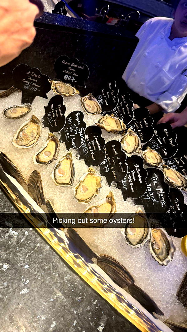 ppwyang0 image ~ Altpins