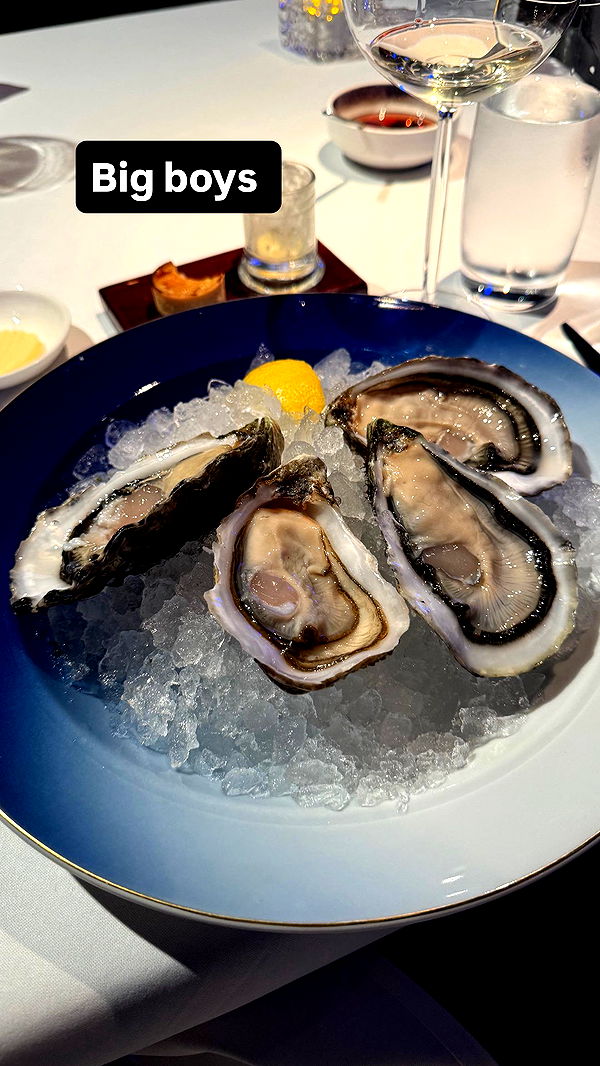 ppwyang0 image ~ Altpins