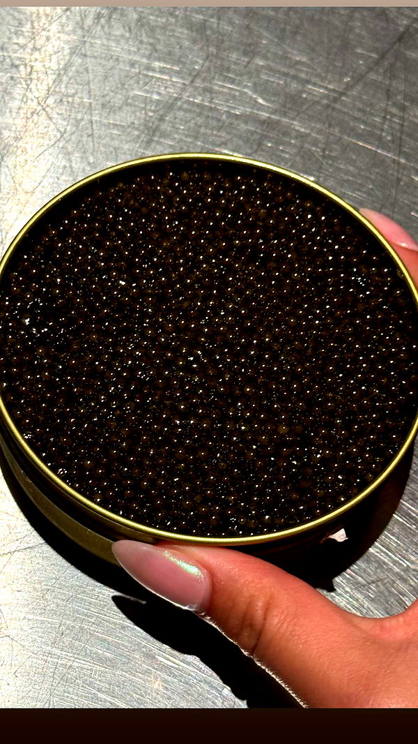 ppwyang0 image ~ Altpins