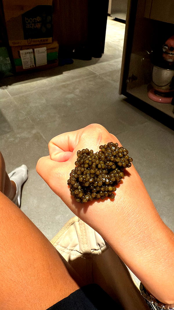 ppwyang0 image ~ Altpins