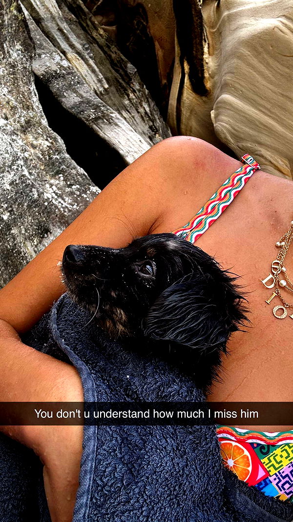 ppwyang0 image ~ Altpins