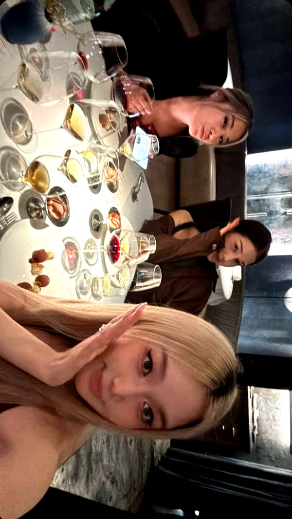 ppwyang0 image ~ Altpins