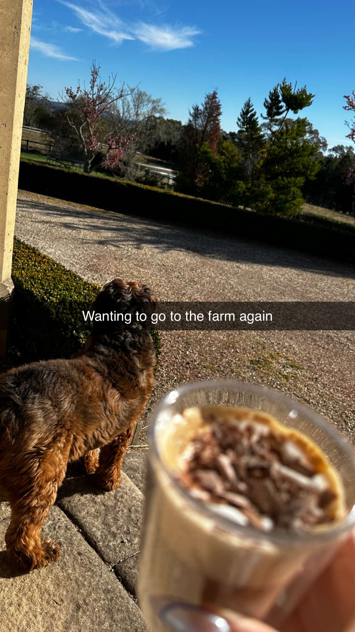 ppwyang0 snapchat image archive image