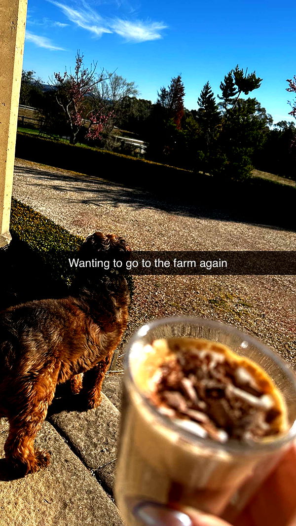 ppwyang0 image ~ Altpins