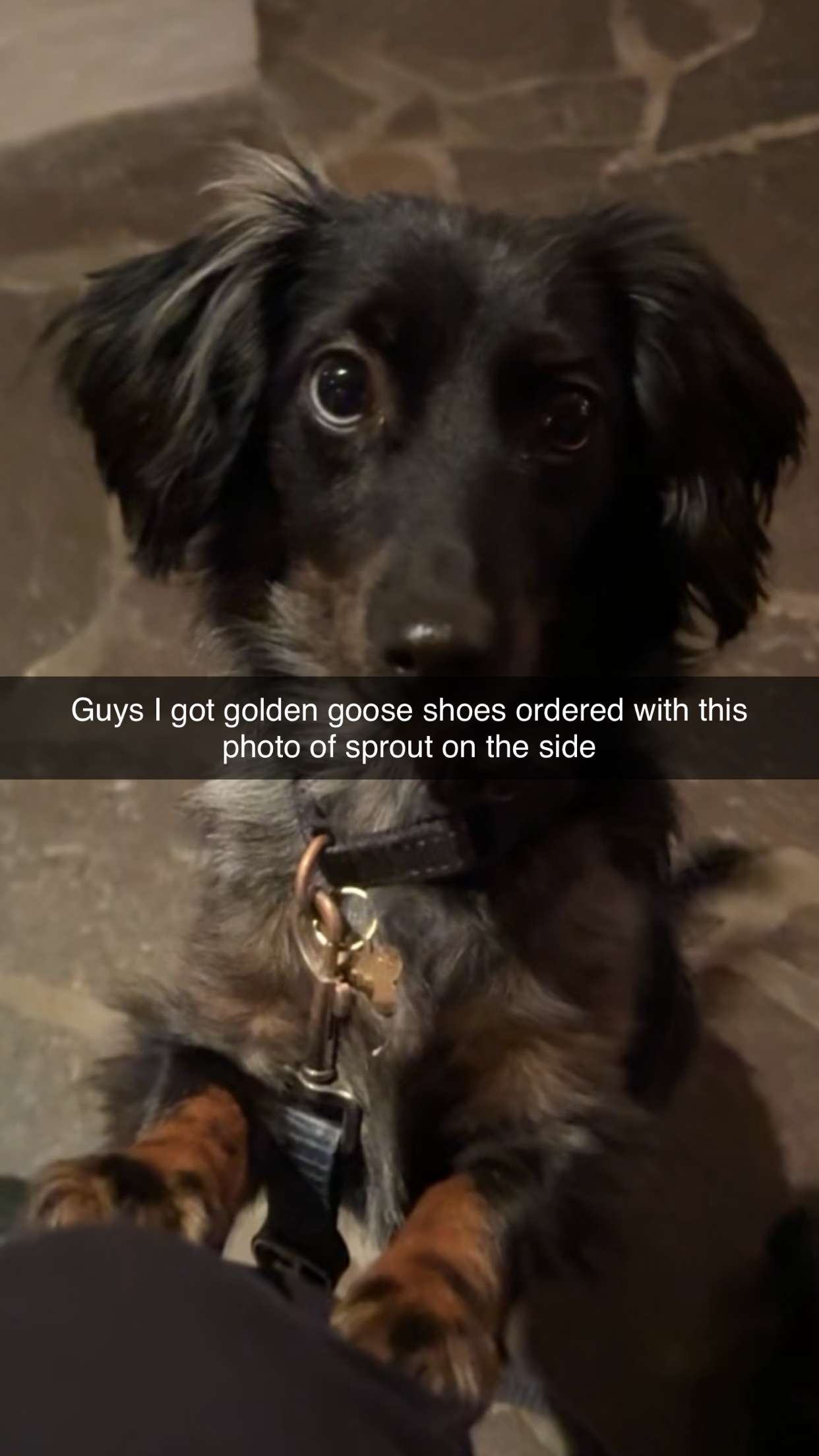 ppwyang0 snapchat image archive image