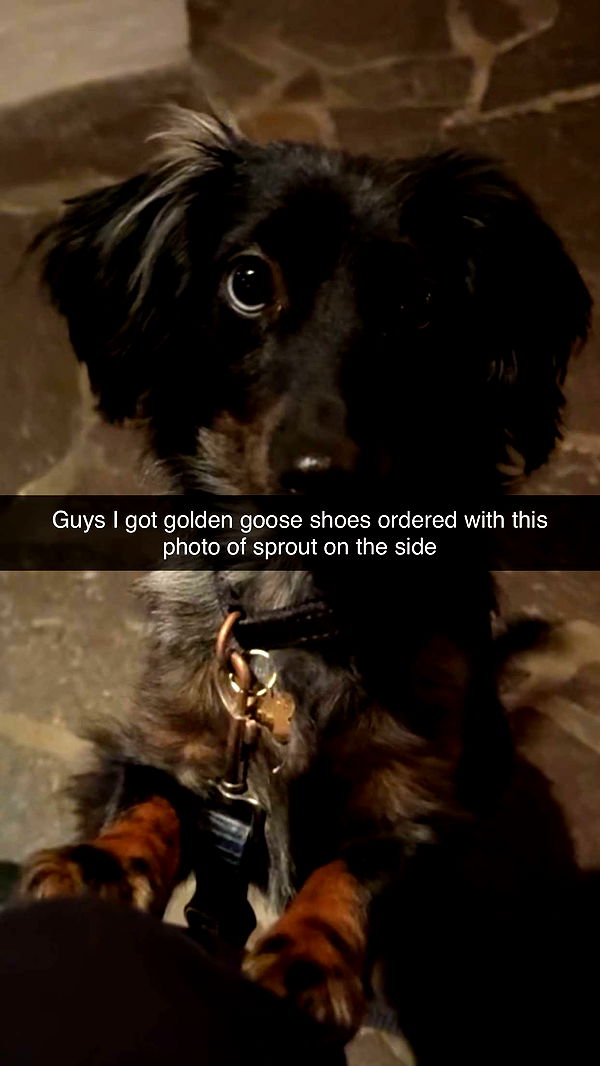 ppwyang0 image ~ Altpins