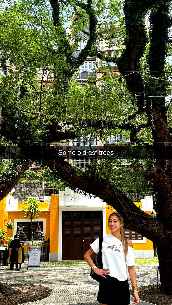 ppwyang0 image ~ Altpins