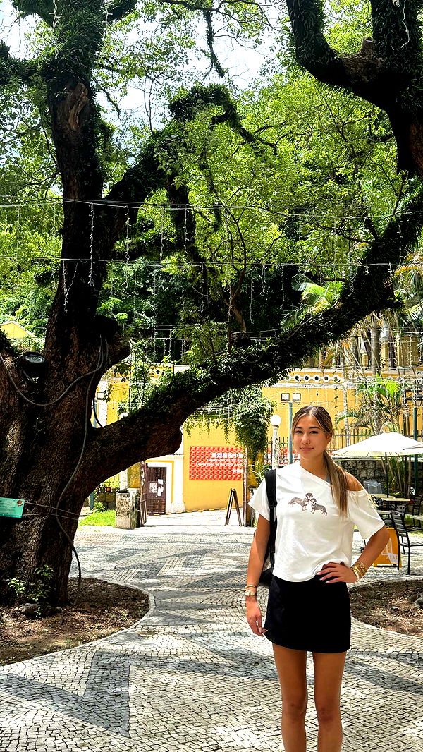 ppwyang0 image ~ Altpins