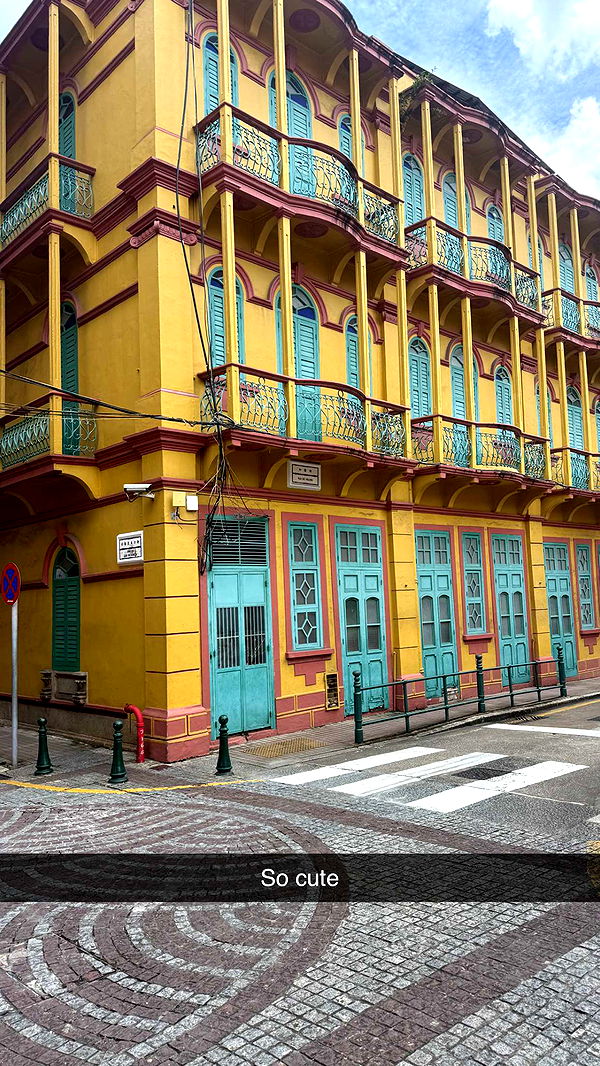 ppwyang0 image ~ Altpins