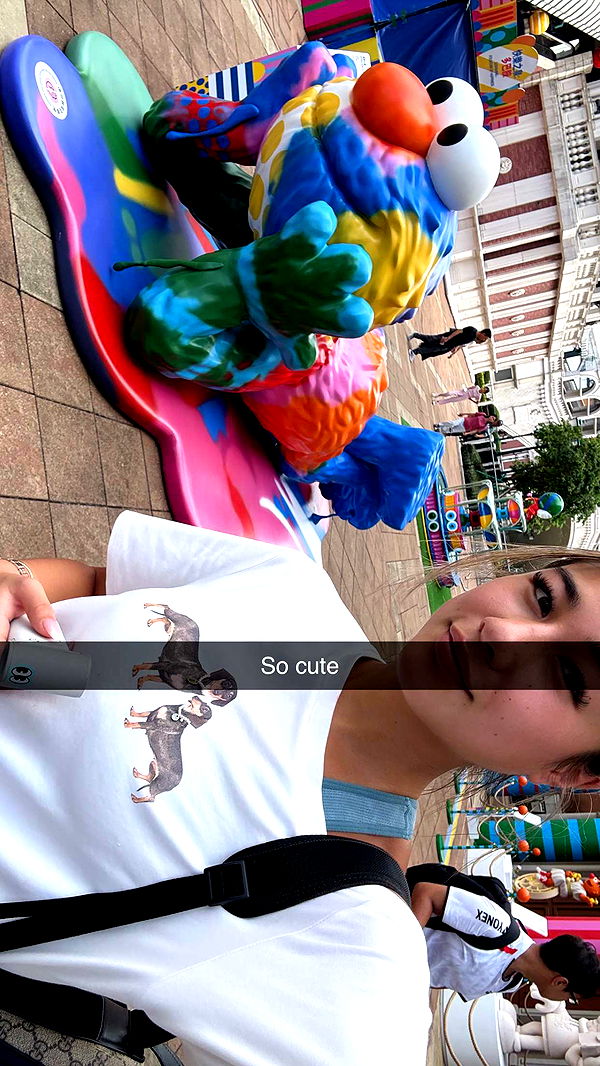 ppwyang0 image ~ Altpins