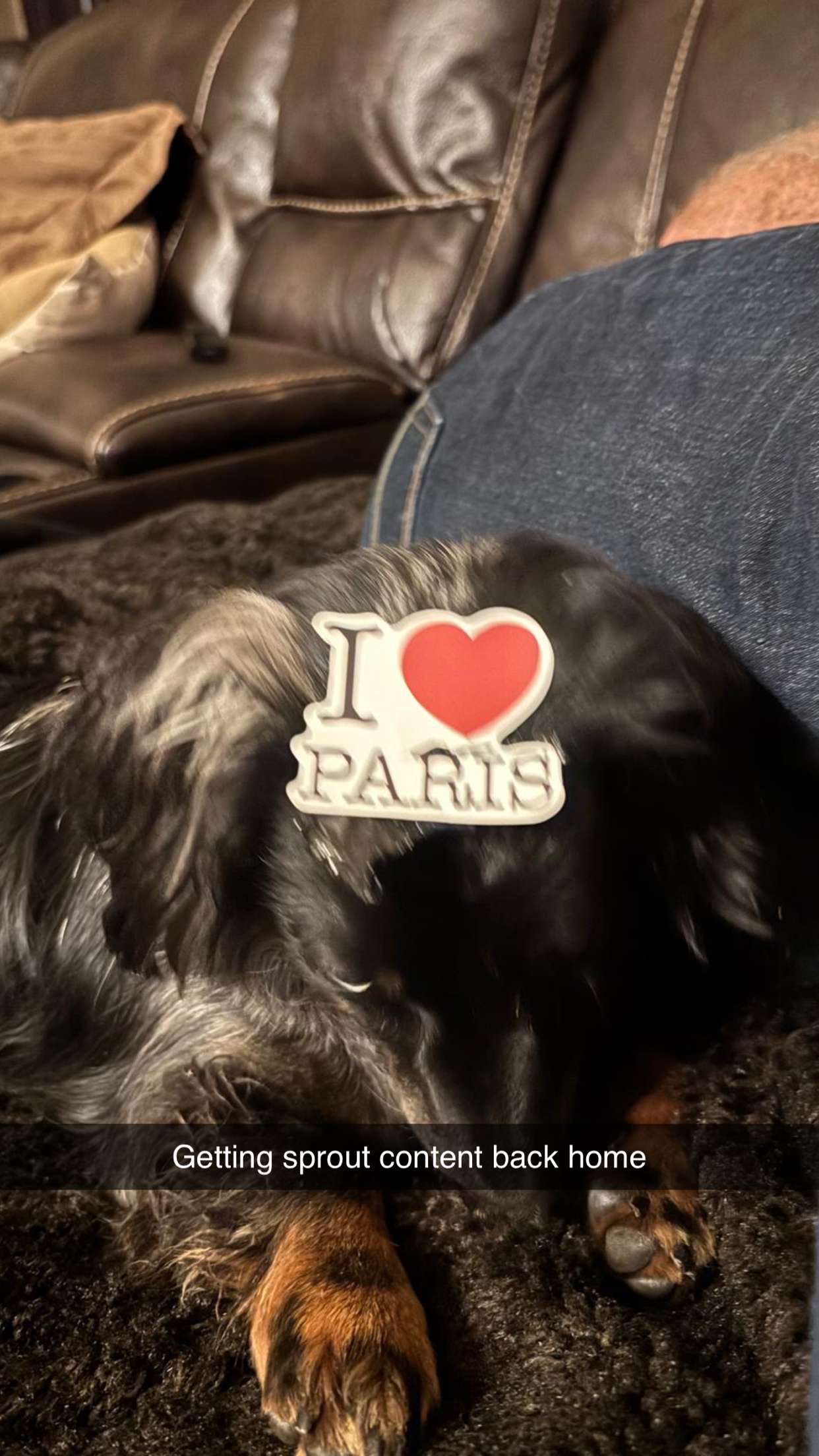 ppwyang0 snapchat image archive image