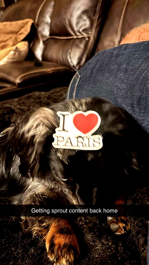 ppwyang0 image ~ Altpins